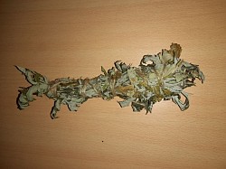 Beifuß als Rauchbündel auf Lager. Stück 3€