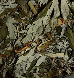Beifuß auf Lager