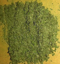 Brennnessel Matcha, kleine menge auf lager.